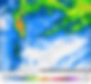 النشرة اليومية
