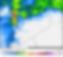 النشرة اليومية