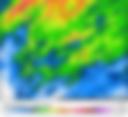 النشرة اليومية